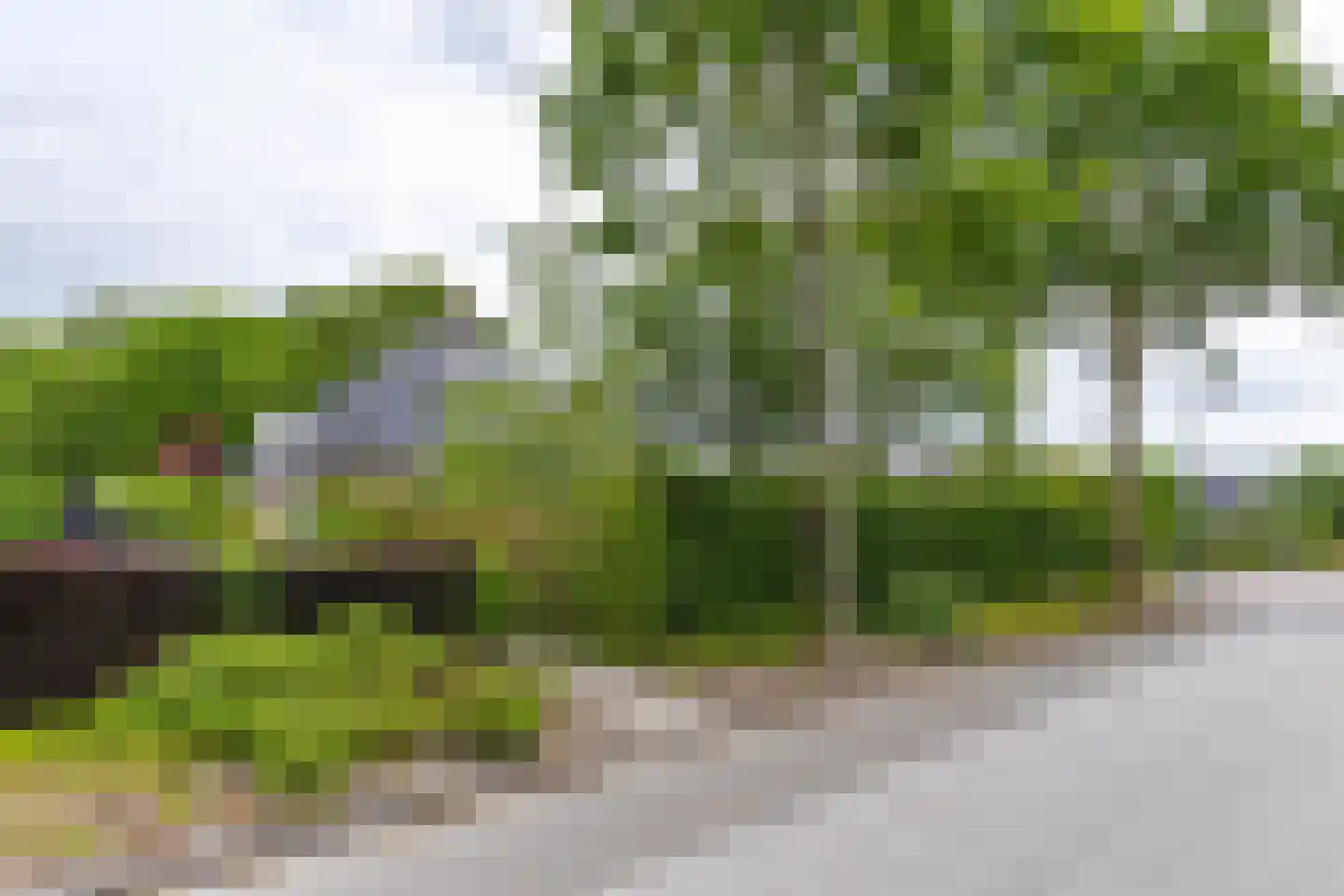 Buorren 6 Houtigehage thumbnail 71