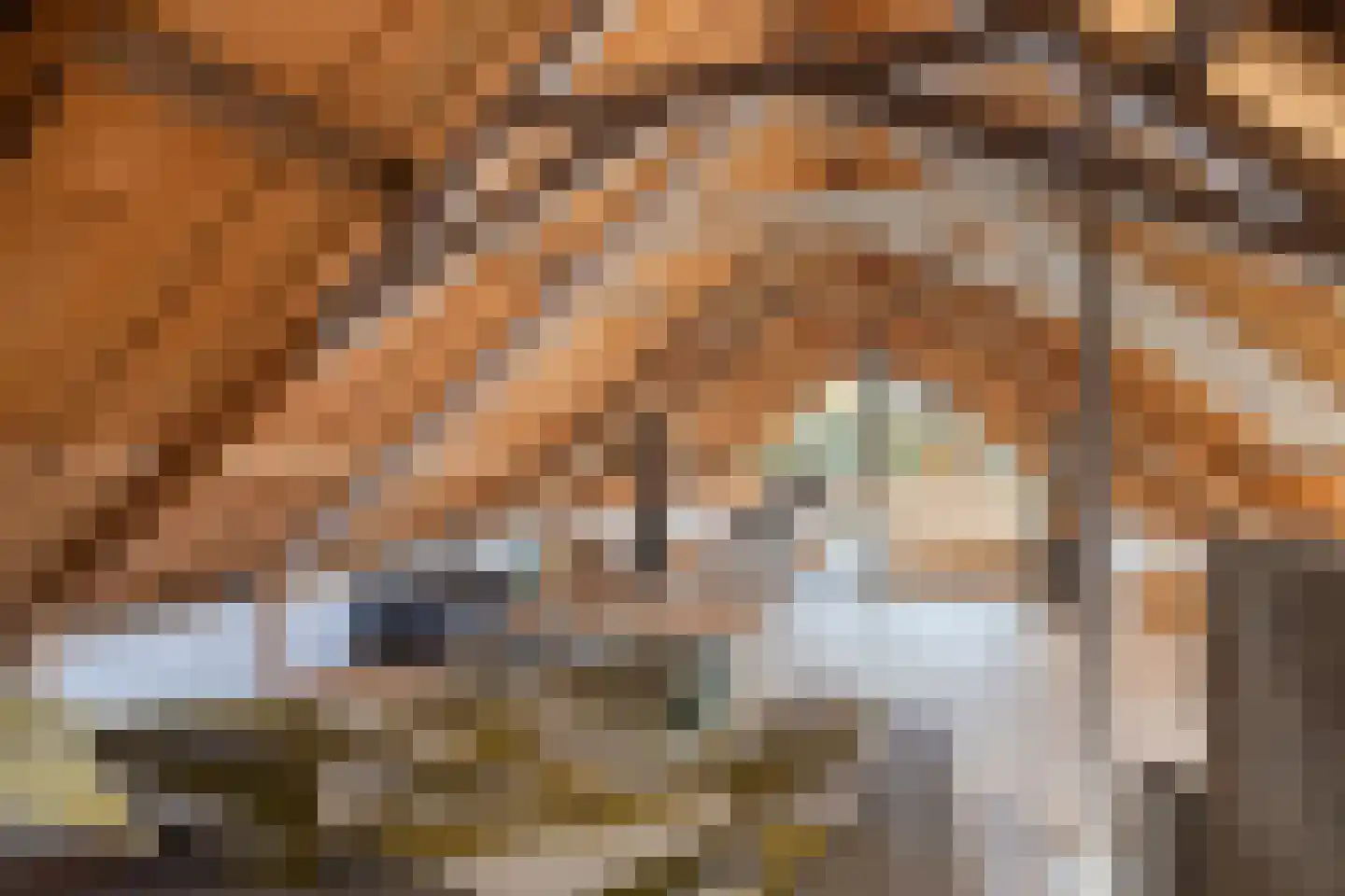Buorren 6 Rien thumbnail 28
