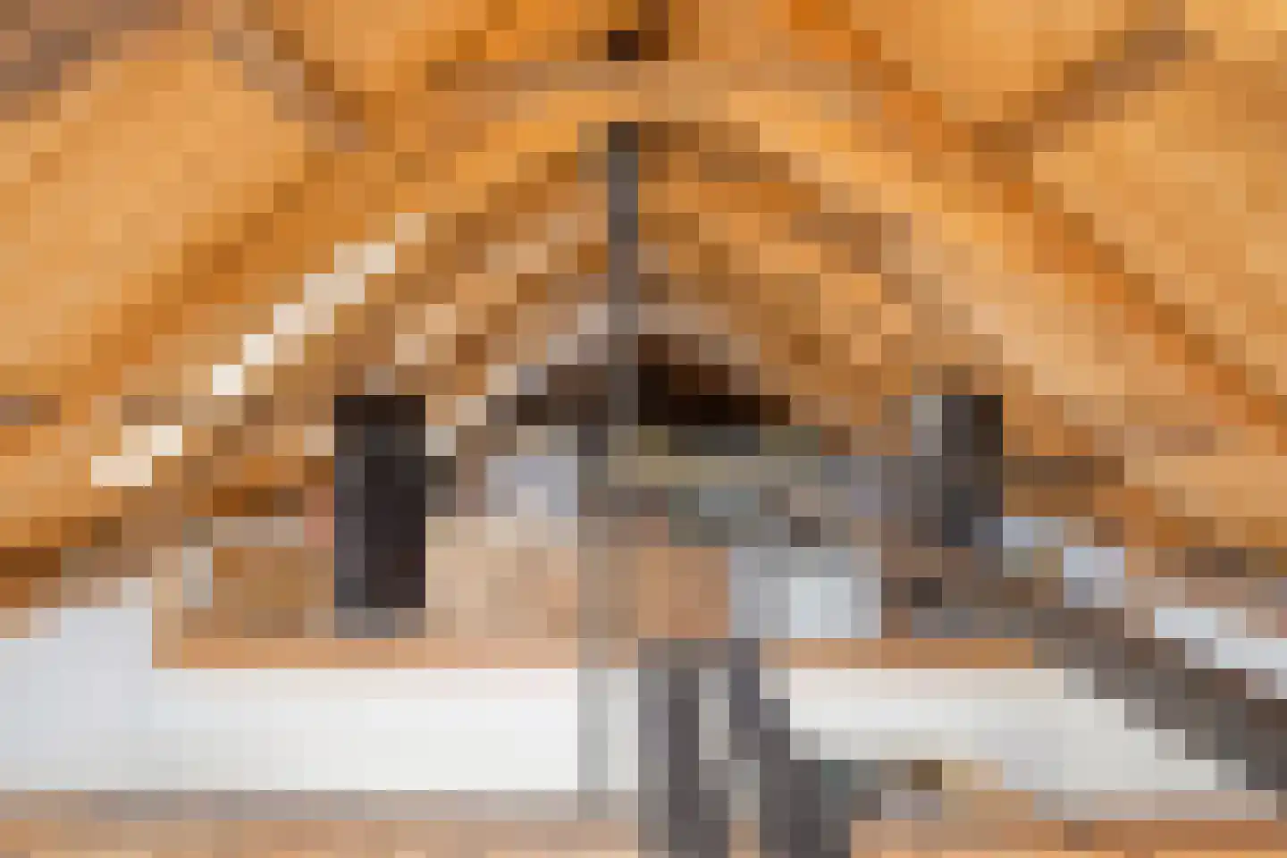 Buorren 6 Rien thumbnail 32