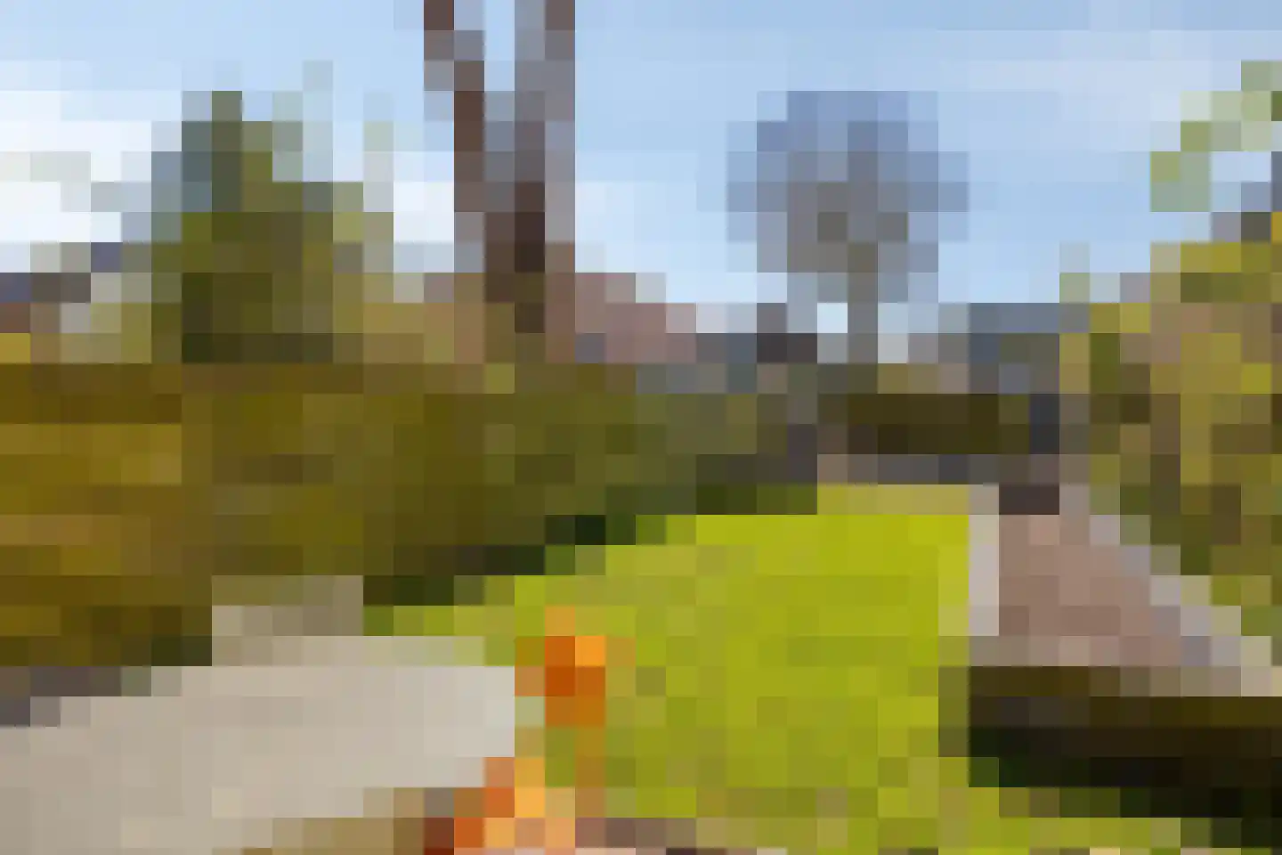 Buorren 6 Rien thumbnail 36