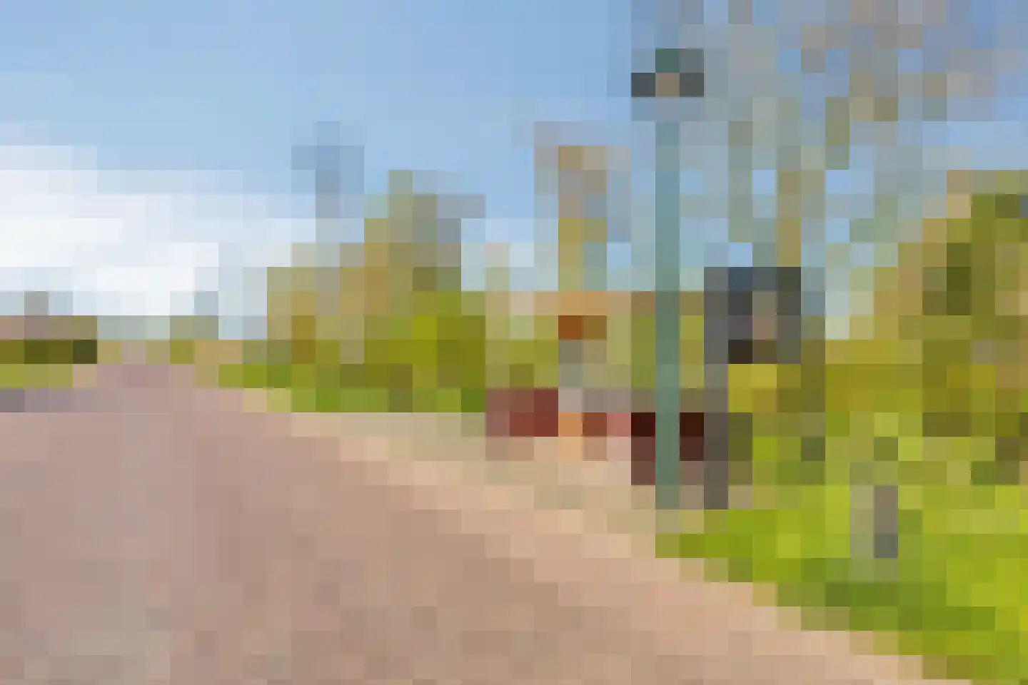 Buorren 6 Rien thumbnail 41