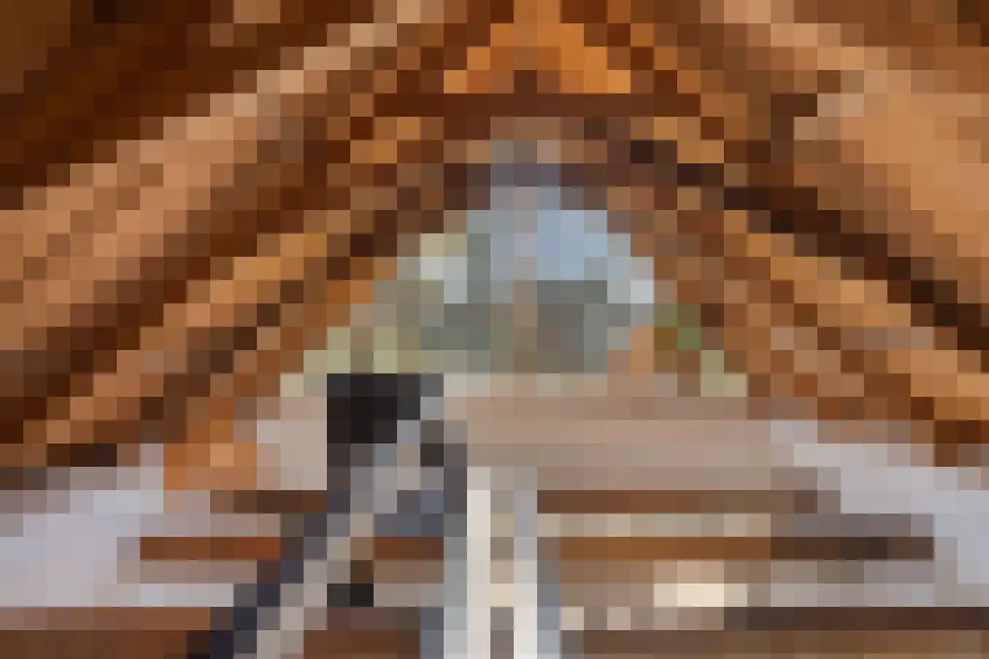 Buorren 6 Rien thumbnail 7