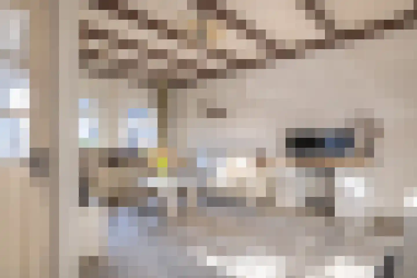 Buorren 62 Tzummarum thumbnail 12