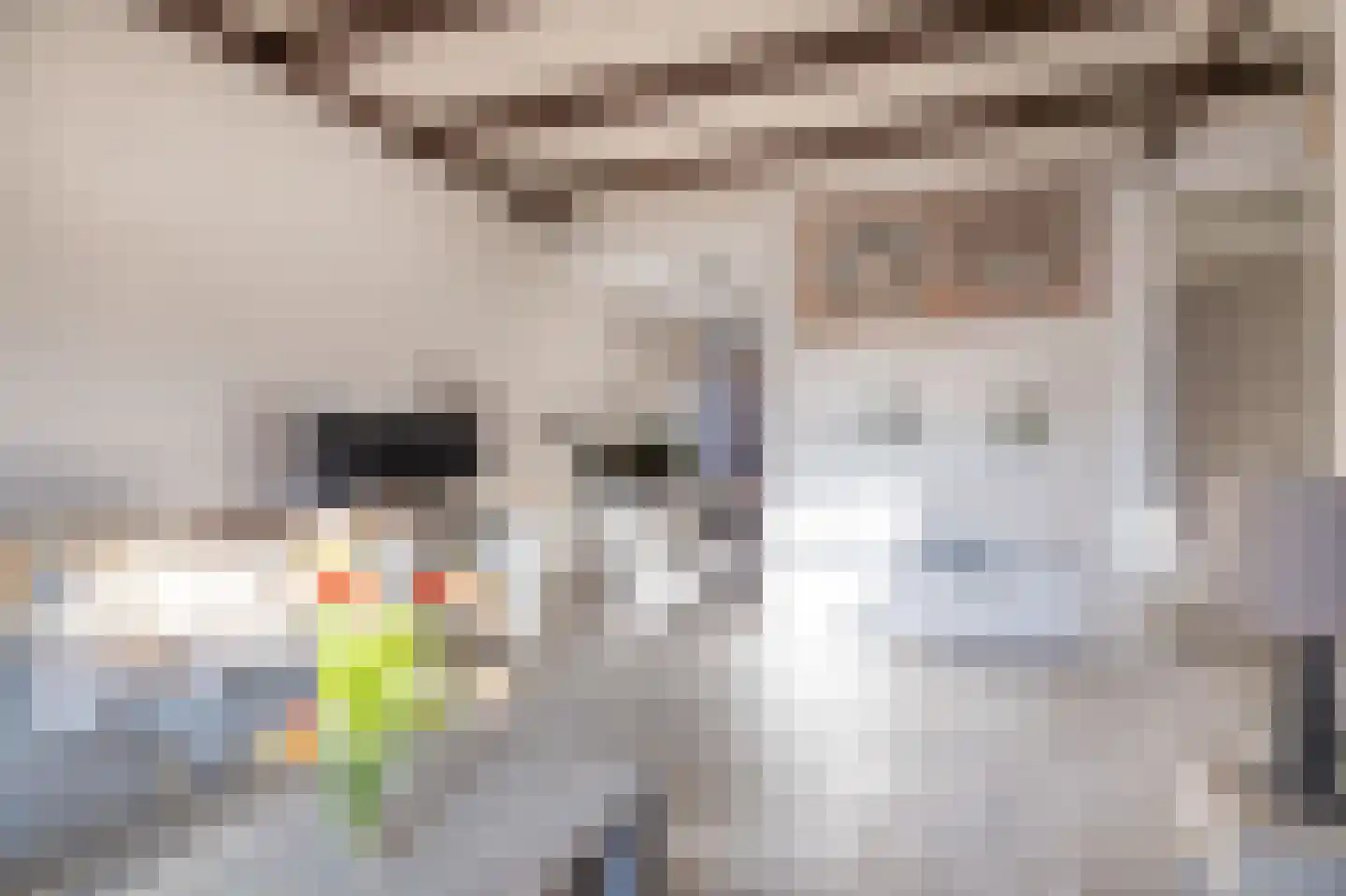 Buorren 62 Tzummarum thumbnail 14