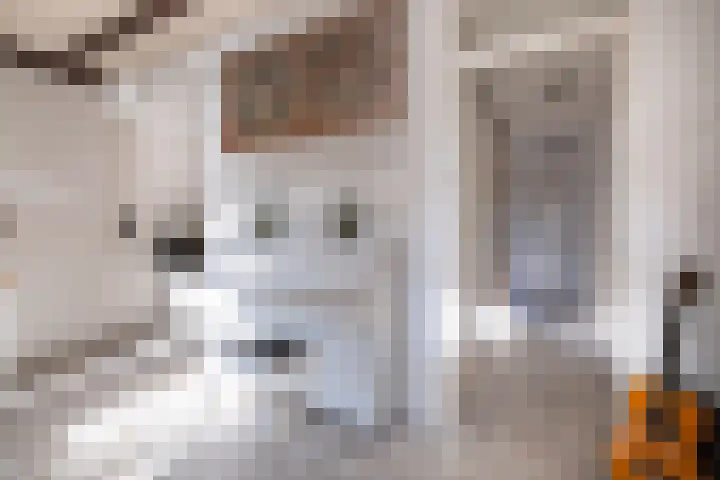 Buorren 62 Tzummarum thumbnail 17