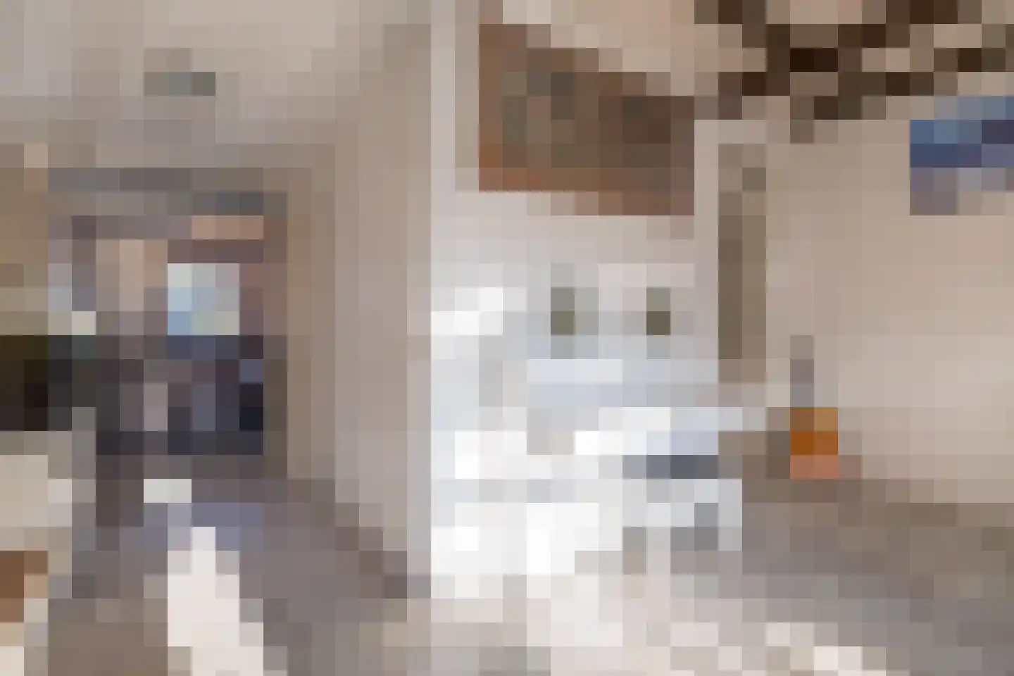 Buorren 62 Tzummarum thumbnail 19