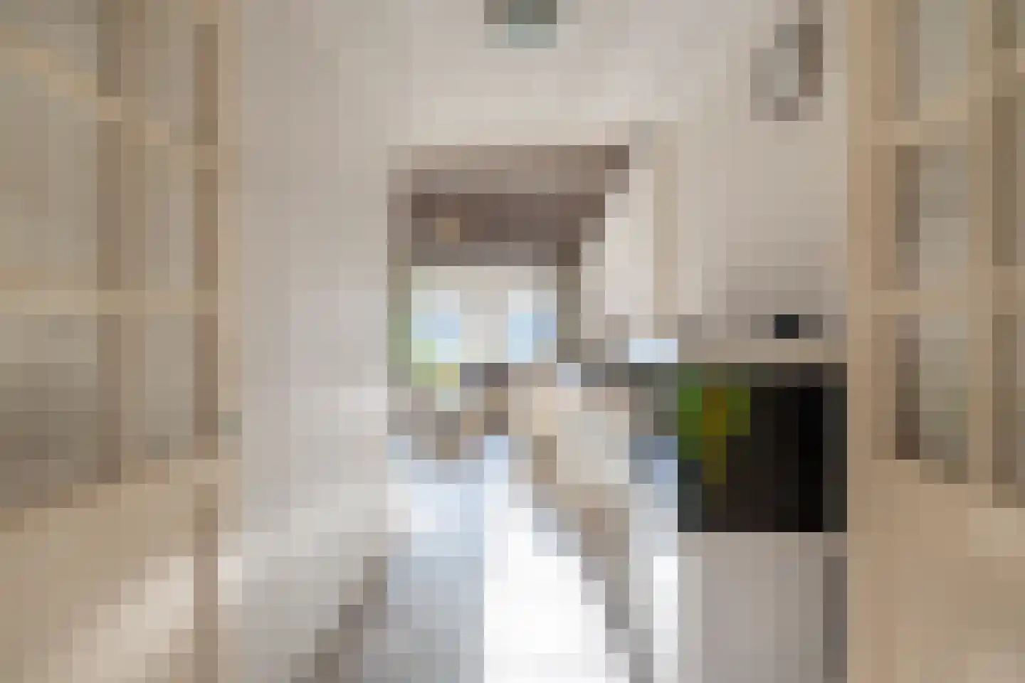 Buorren 62 Tzummarum thumbnail 20