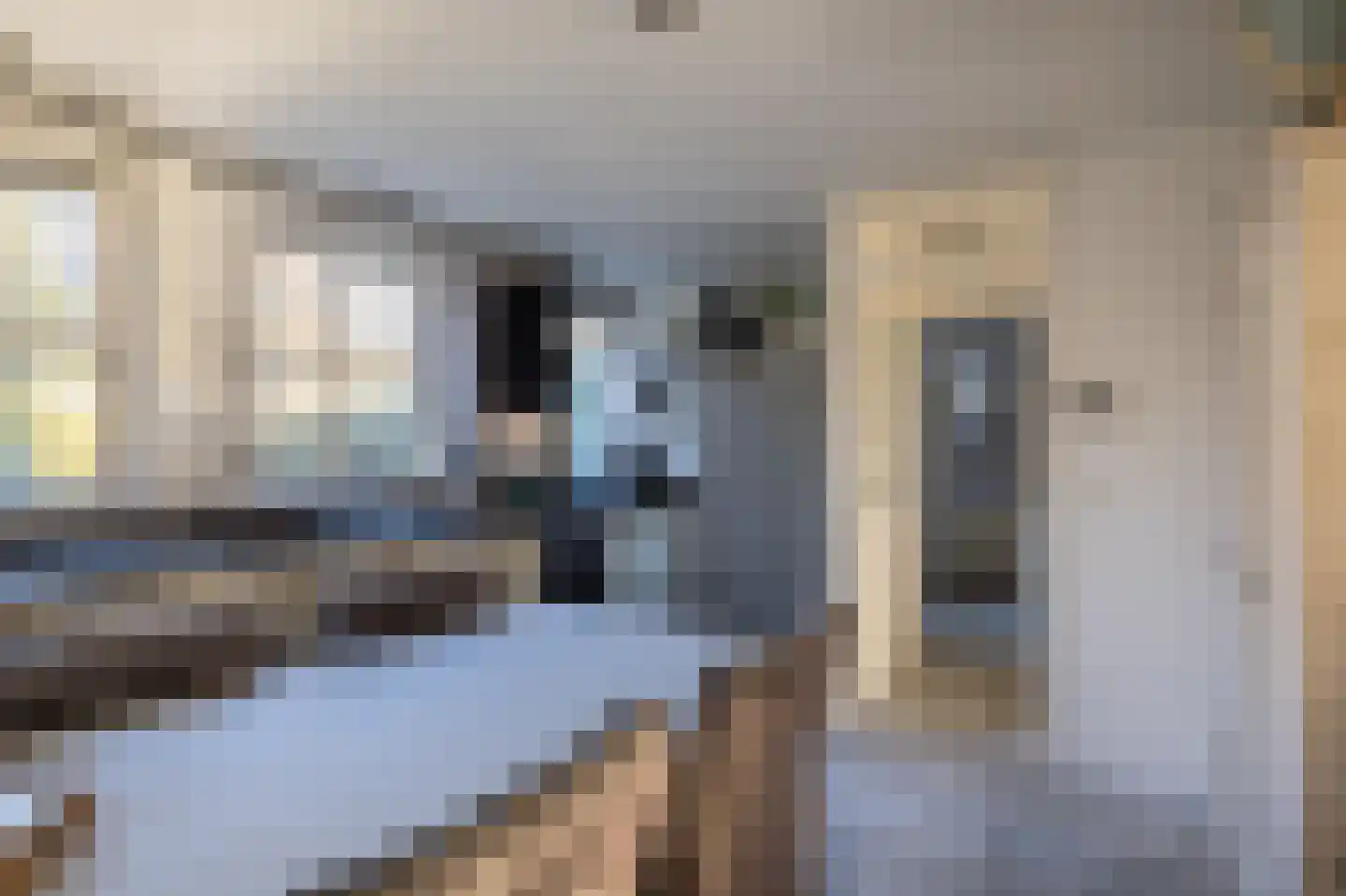 Buorren 62 Tzummarum thumbnail 24