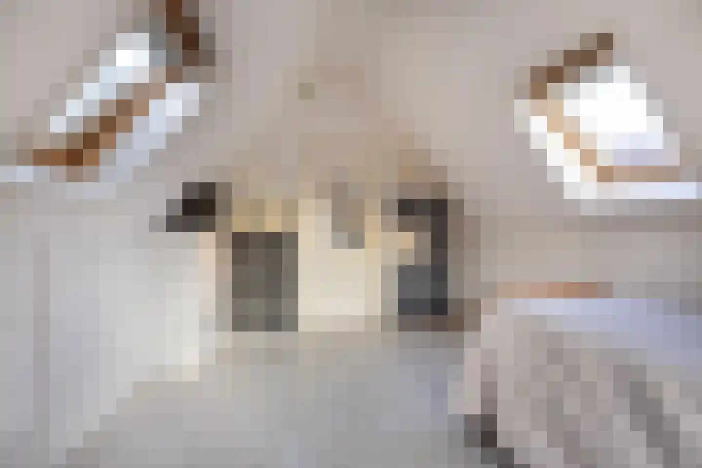 Buorren 62 Tzummarum thumbnail 33
