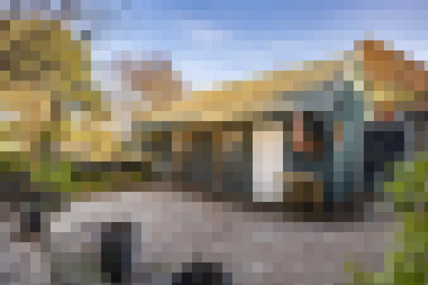 Buorren 62 Tzummarum thumbnail 40
