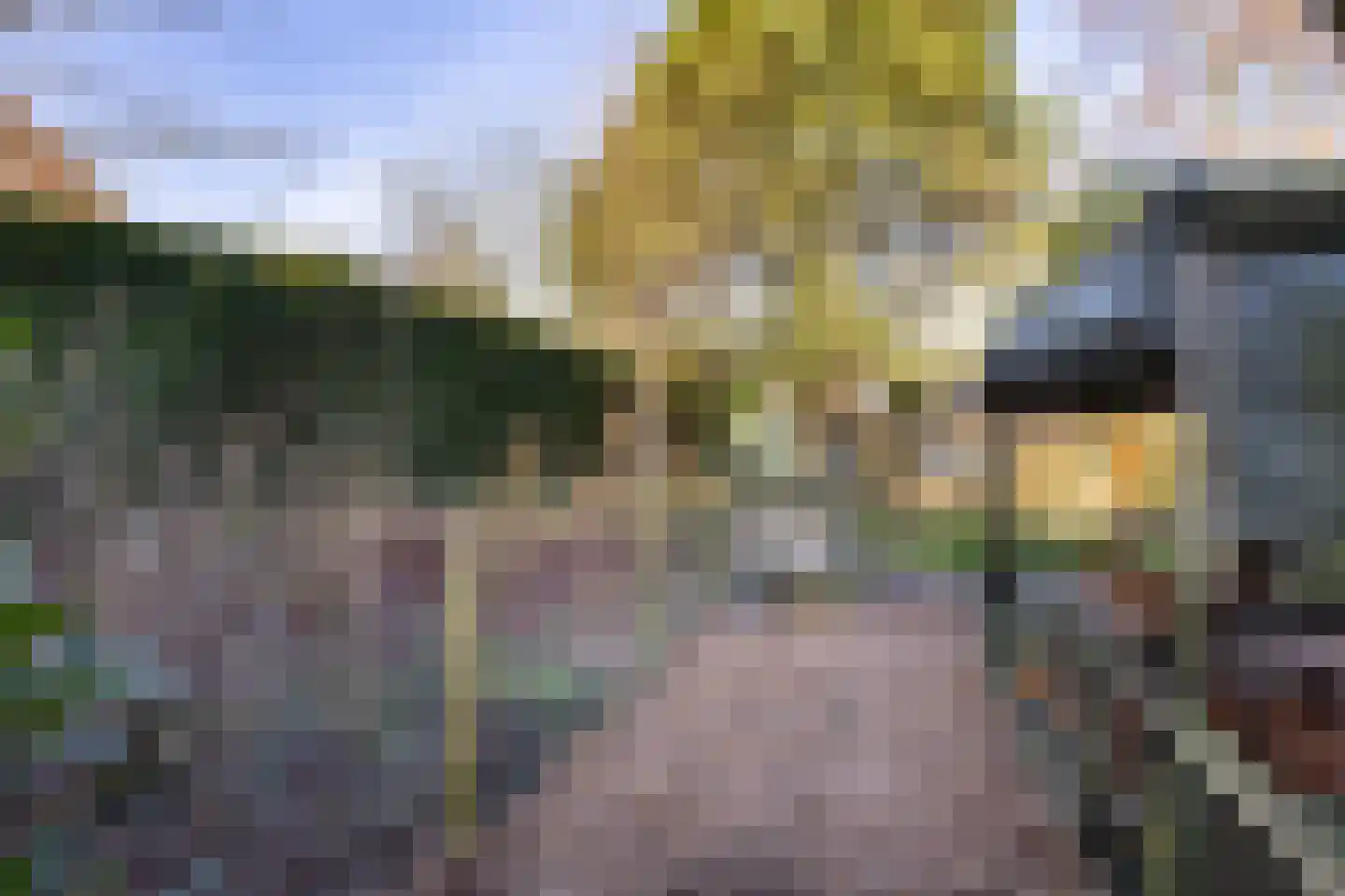 Buorren 62 Tzummarum thumbnail 43