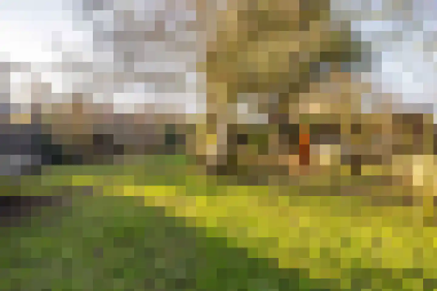 Buorren 62 Tzummarum thumbnail 48