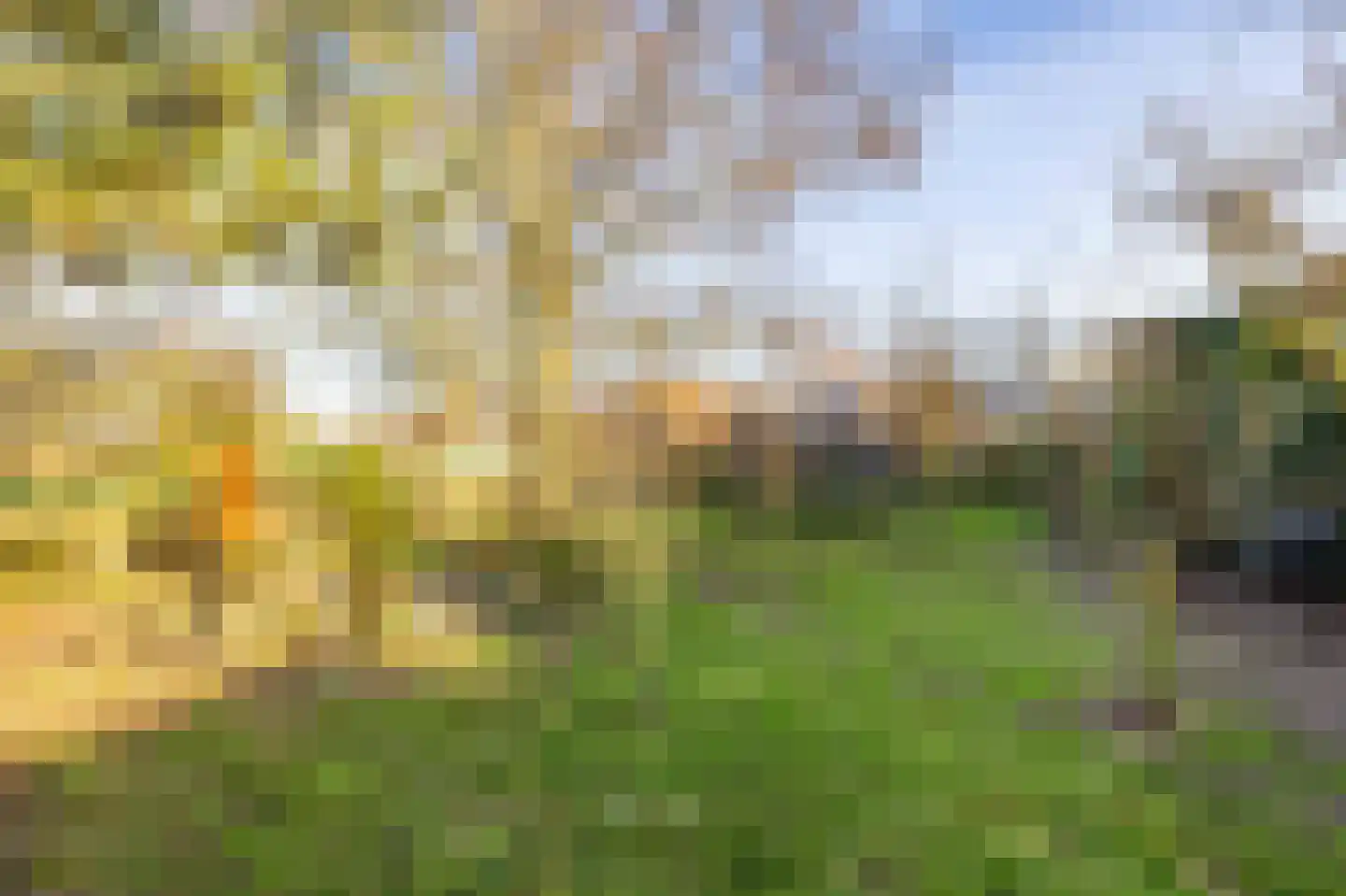 Buorren 62 Tzummarum thumbnail 49