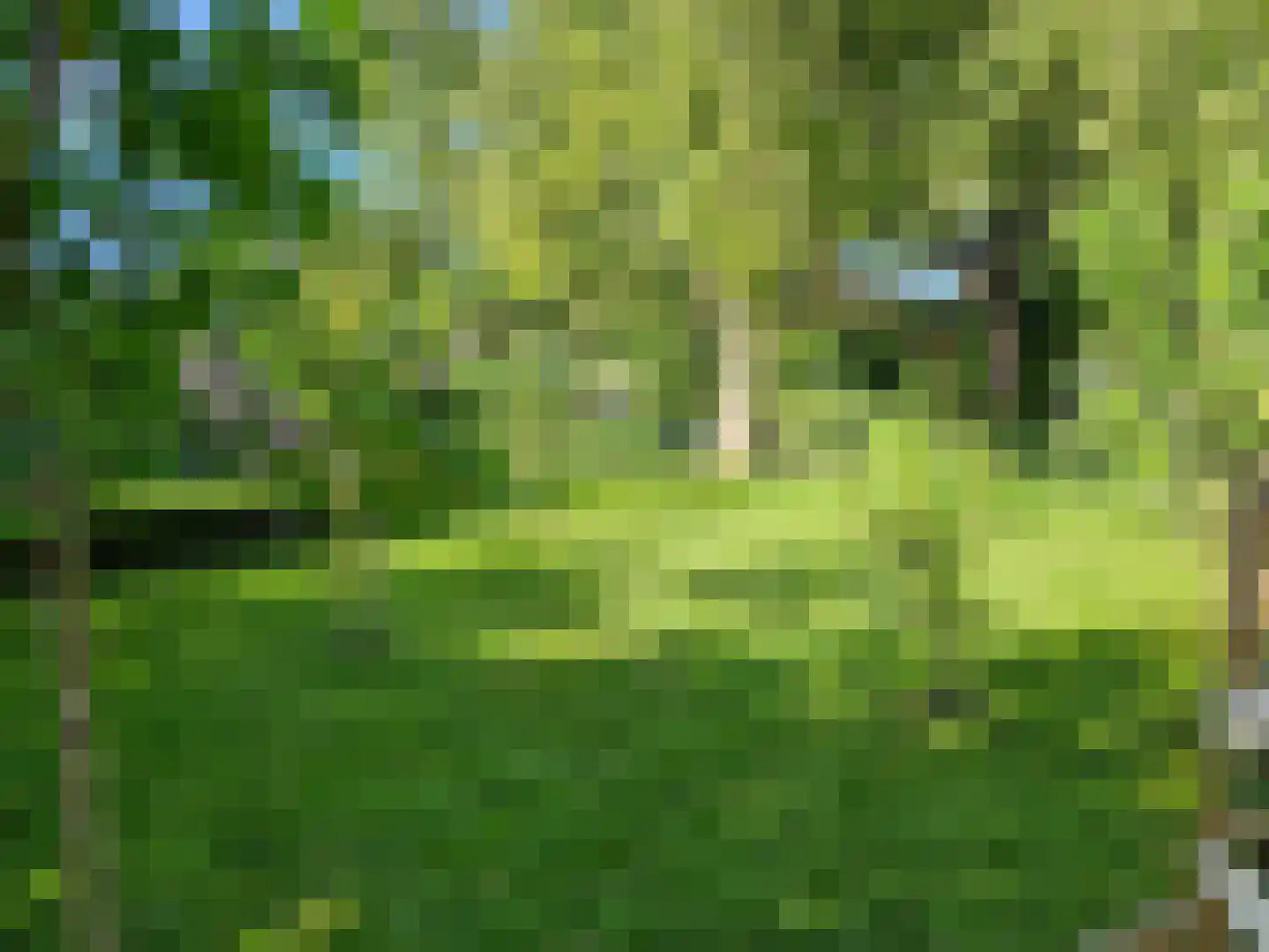 Buorren 62 Tzummarum thumbnail 50