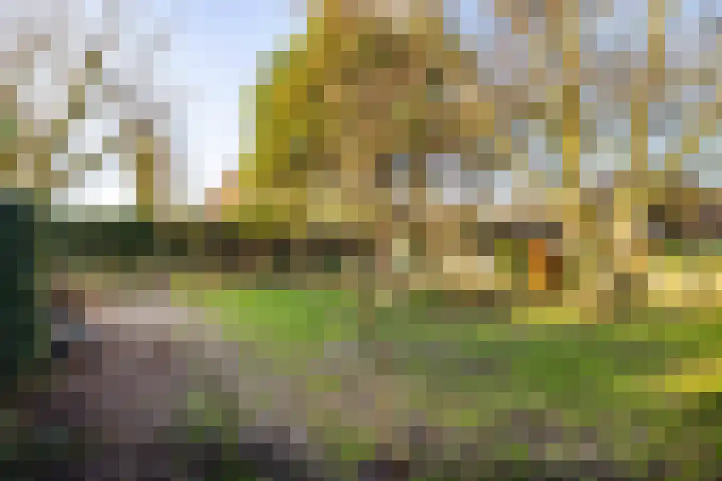 Buorren 62 Tzummarum thumbnail 51