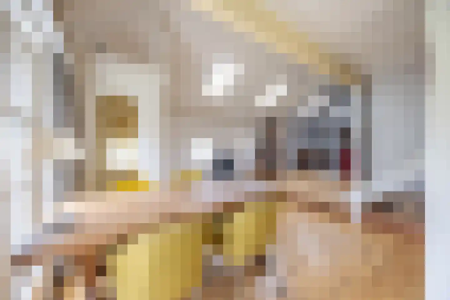 Buorren 68 Terherne thumbnail 11