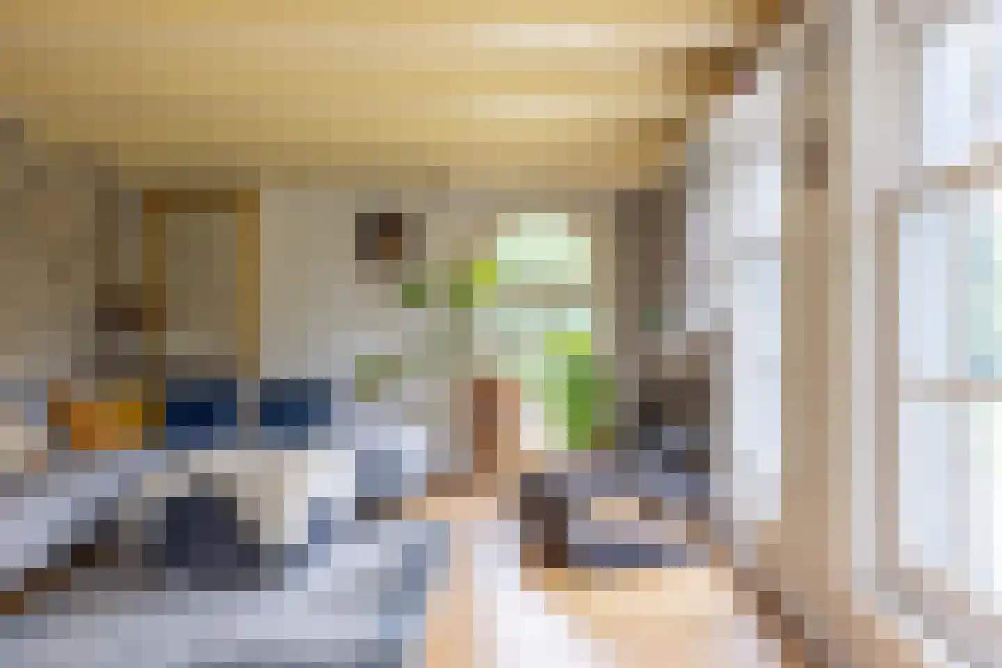 Buorren 68 Terherne thumbnail 13
