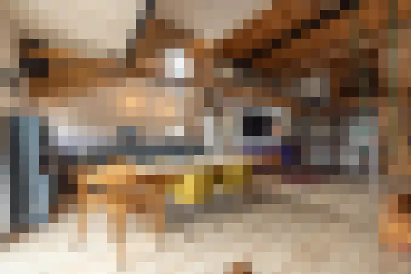 Buorren 68 Terherne thumbnail 31
