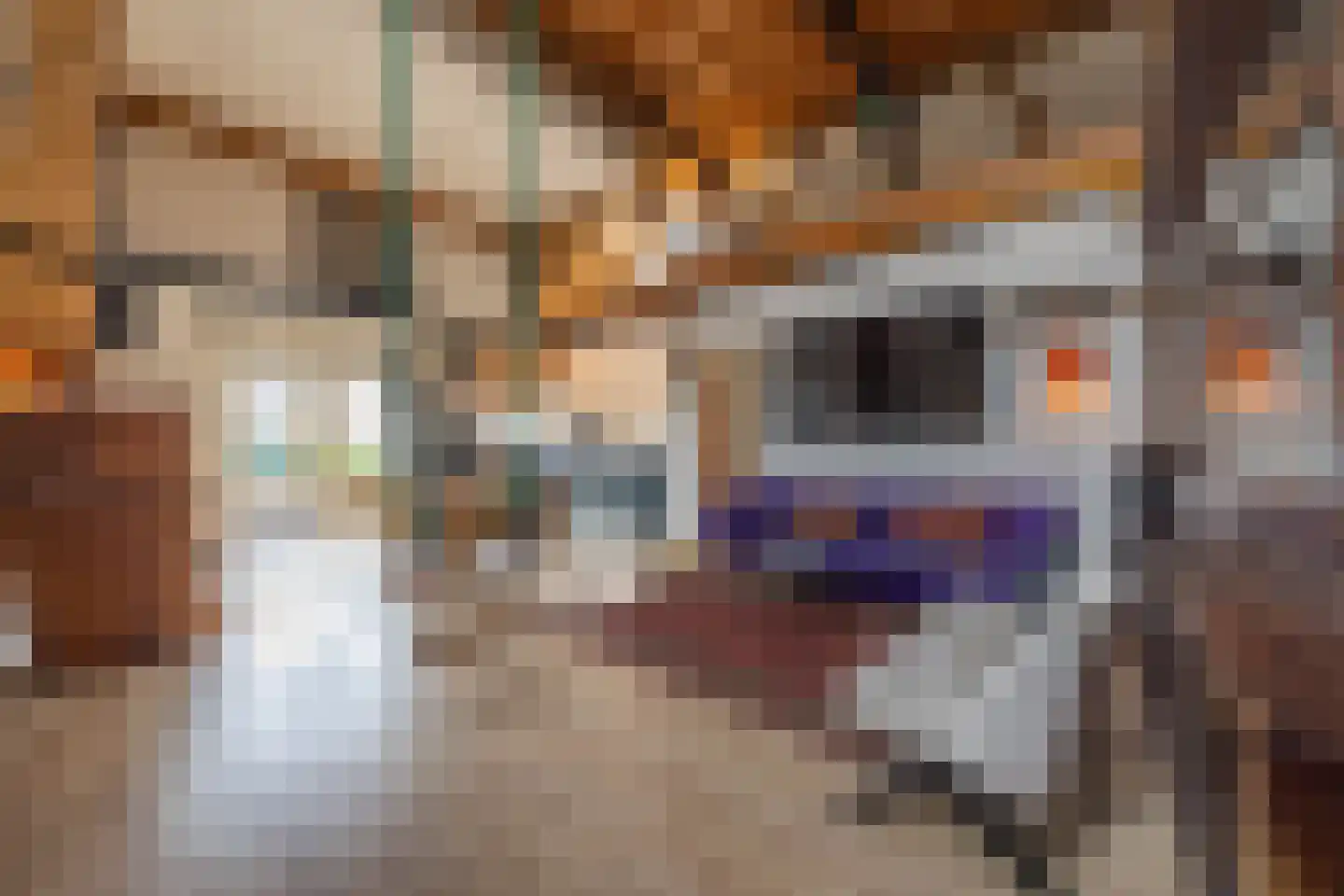 Buorren 68 Terherne thumbnail 33