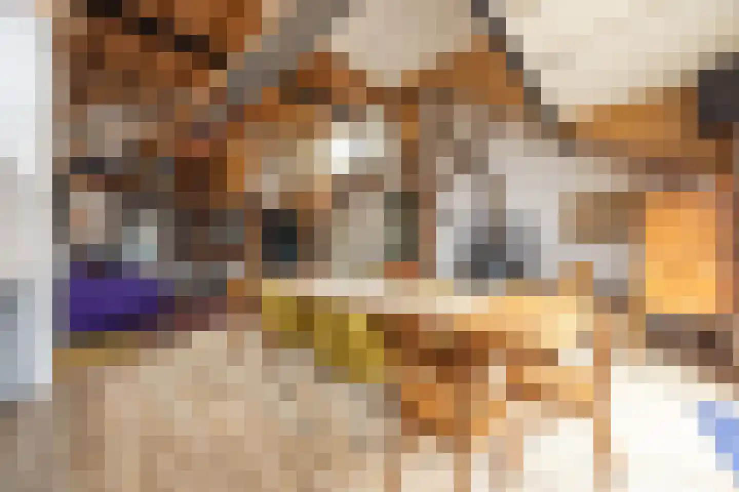 Buorren 68 Terherne thumbnail 35