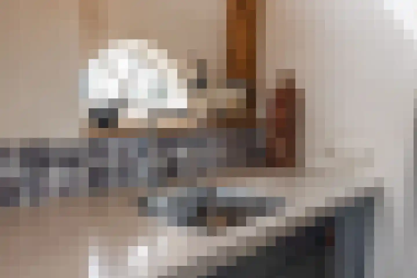 Buorren 68 Terherne thumbnail 39