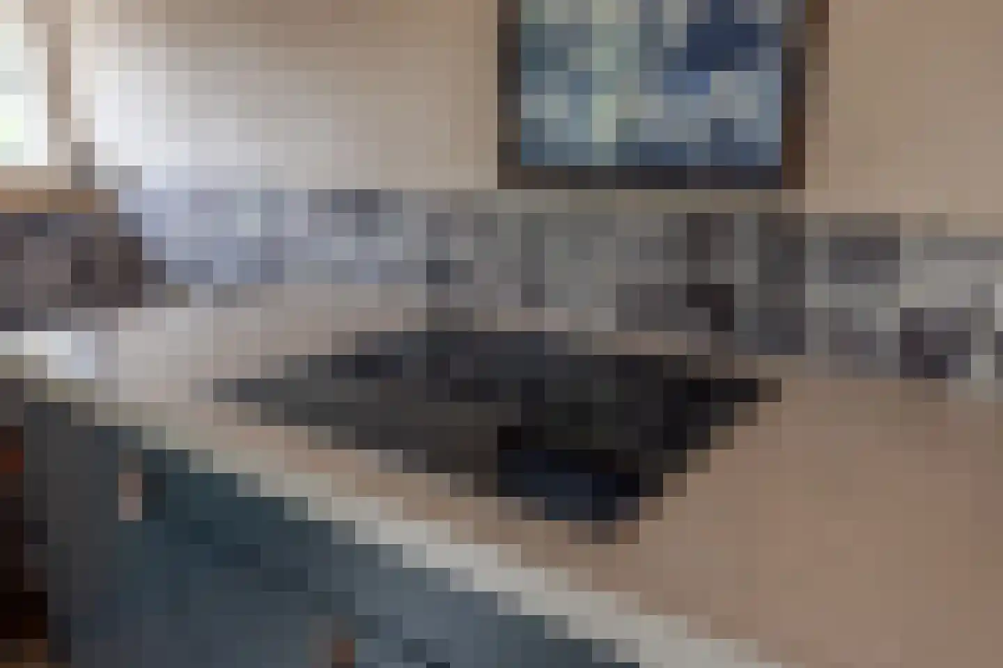 Buorren 68 Terherne thumbnail 40