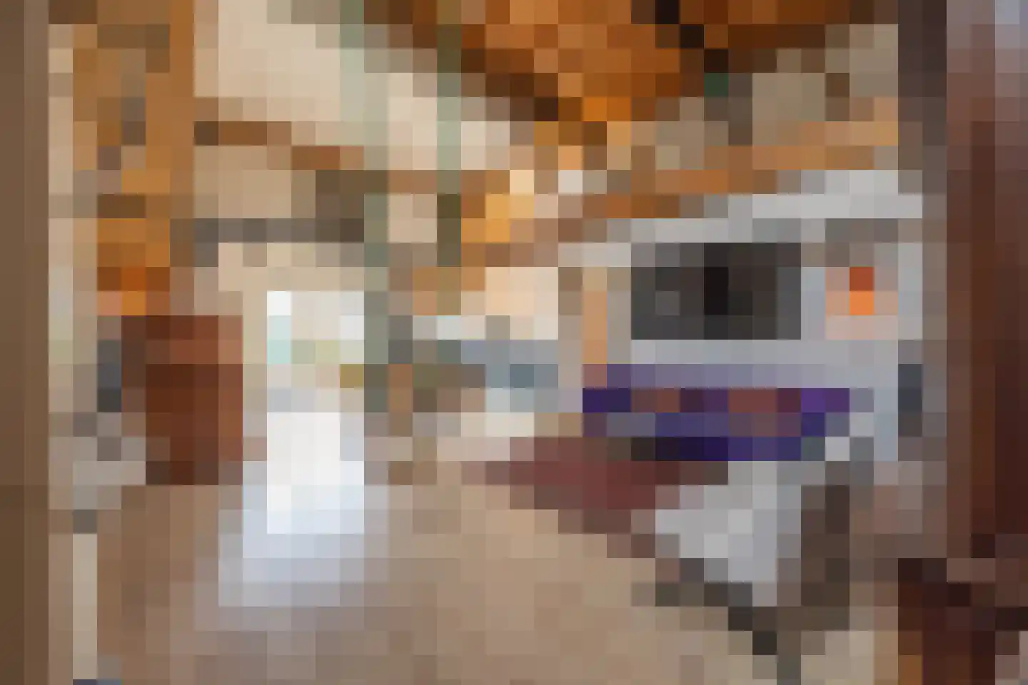 Buorren 68 Terherne thumbnail 42