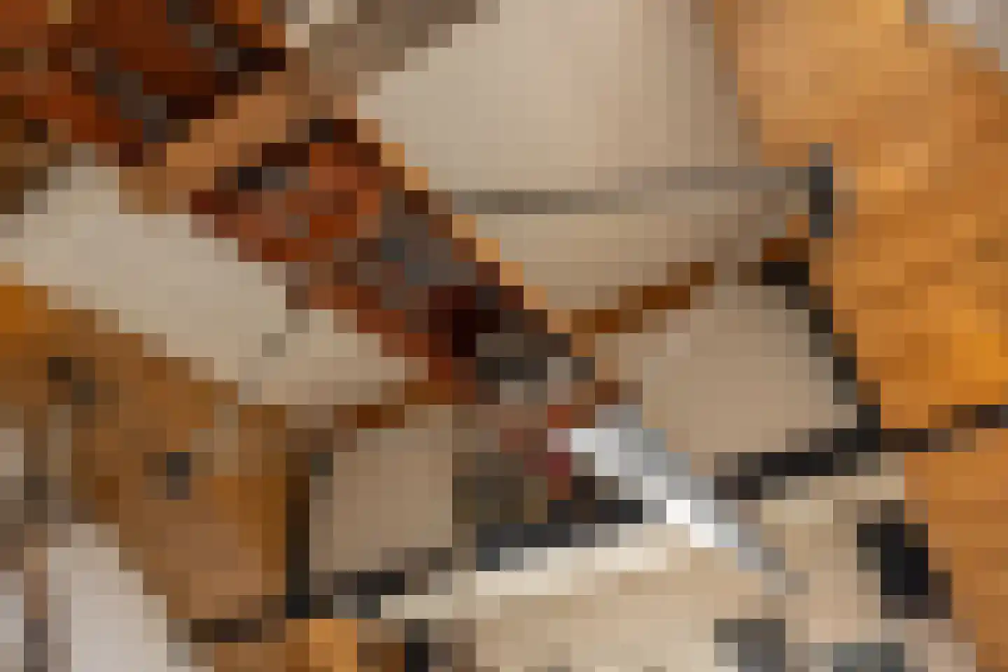 Buorren 68 Terherne thumbnail 43