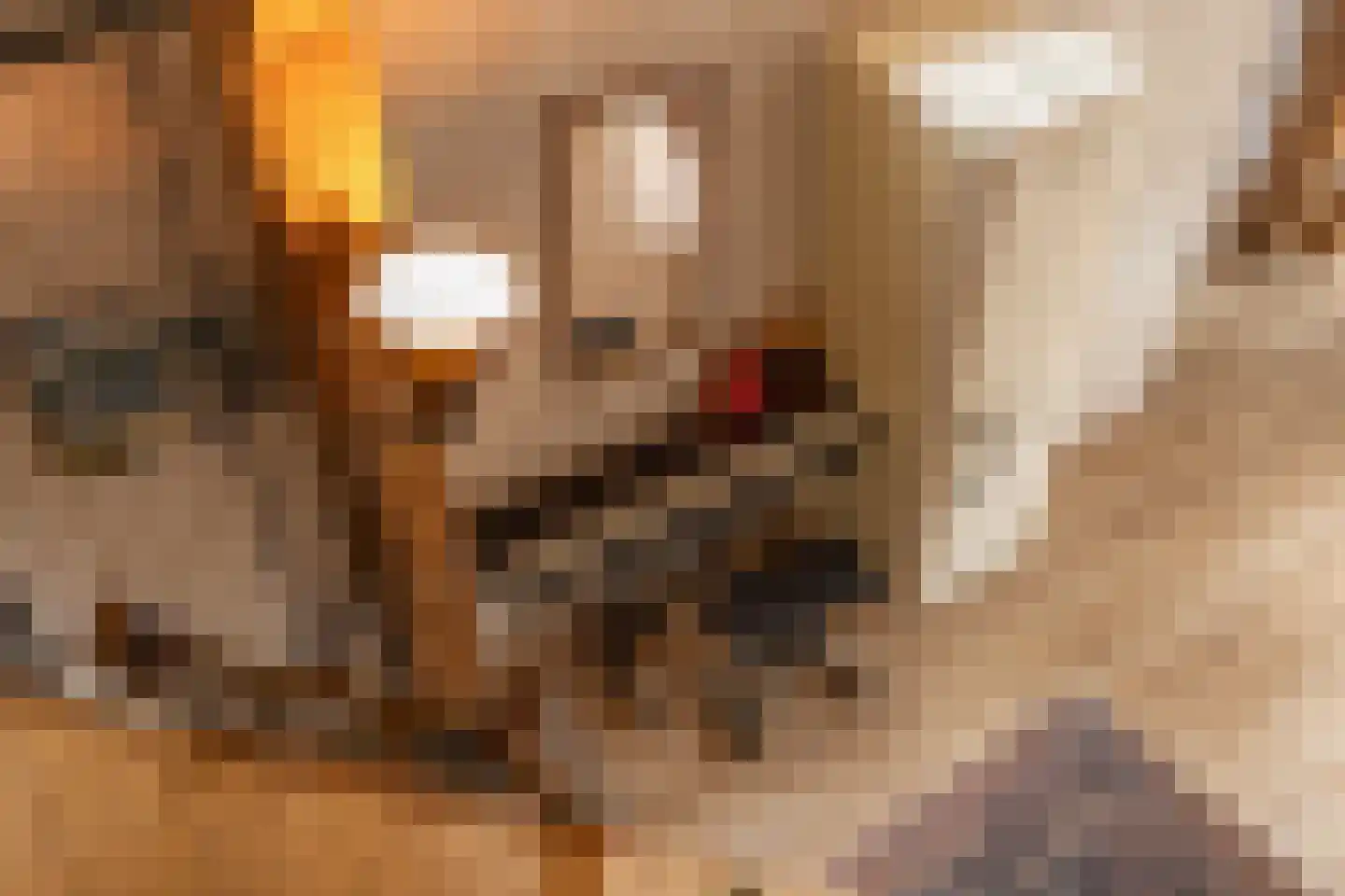 Buorren 68 Terherne thumbnail 45
