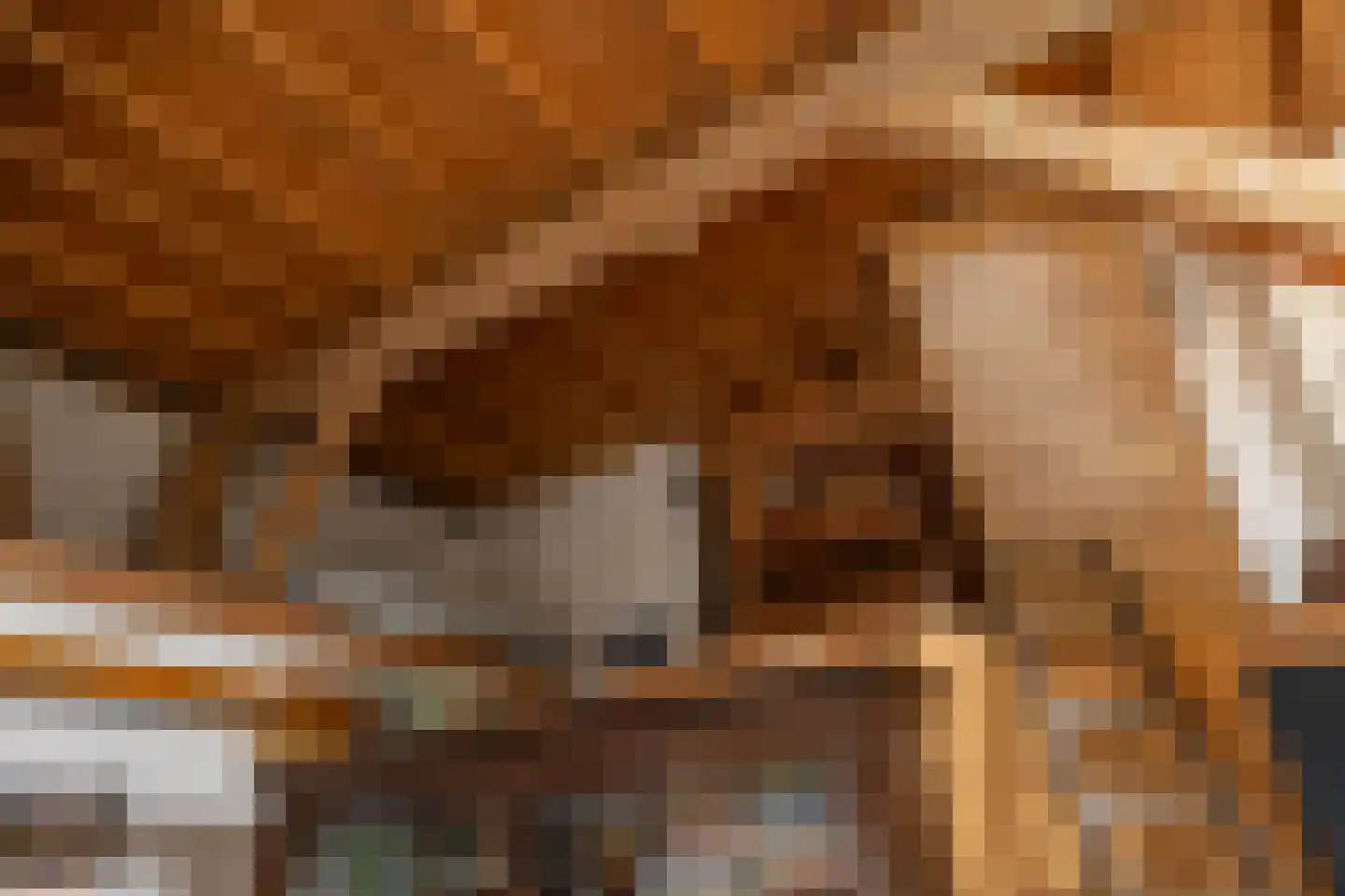 Buorren 68 Terherne thumbnail 46