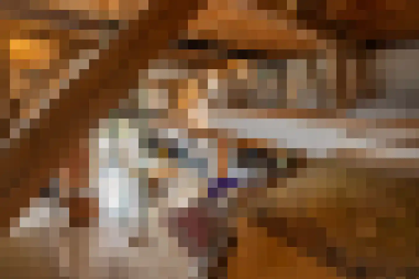 Buorren 68 Terherne thumbnail 48