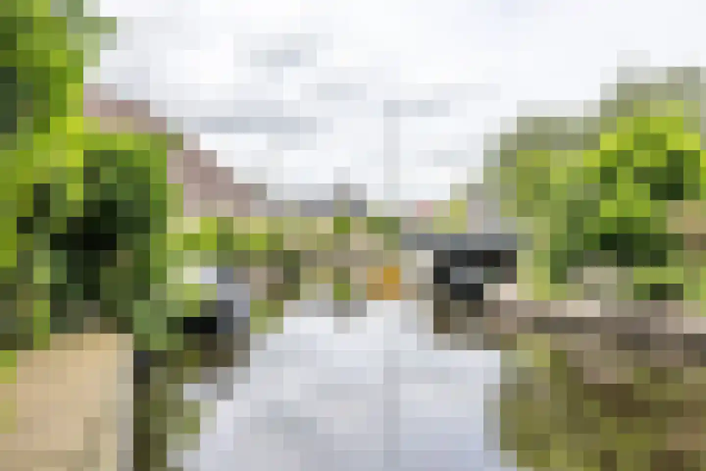 Buorren 68 Terherne thumbnail 5