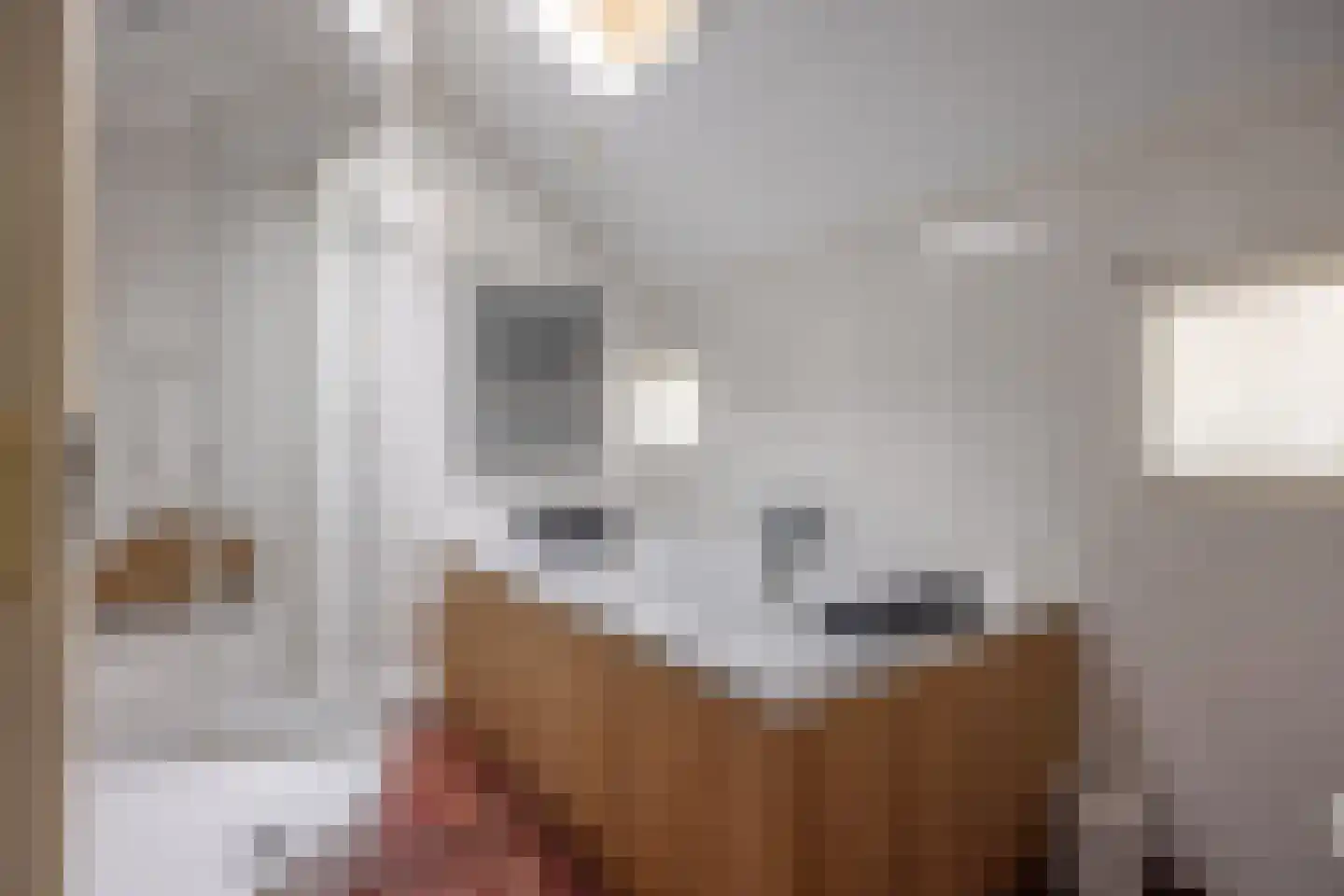 Buorren 68 Terherne thumbnail 50