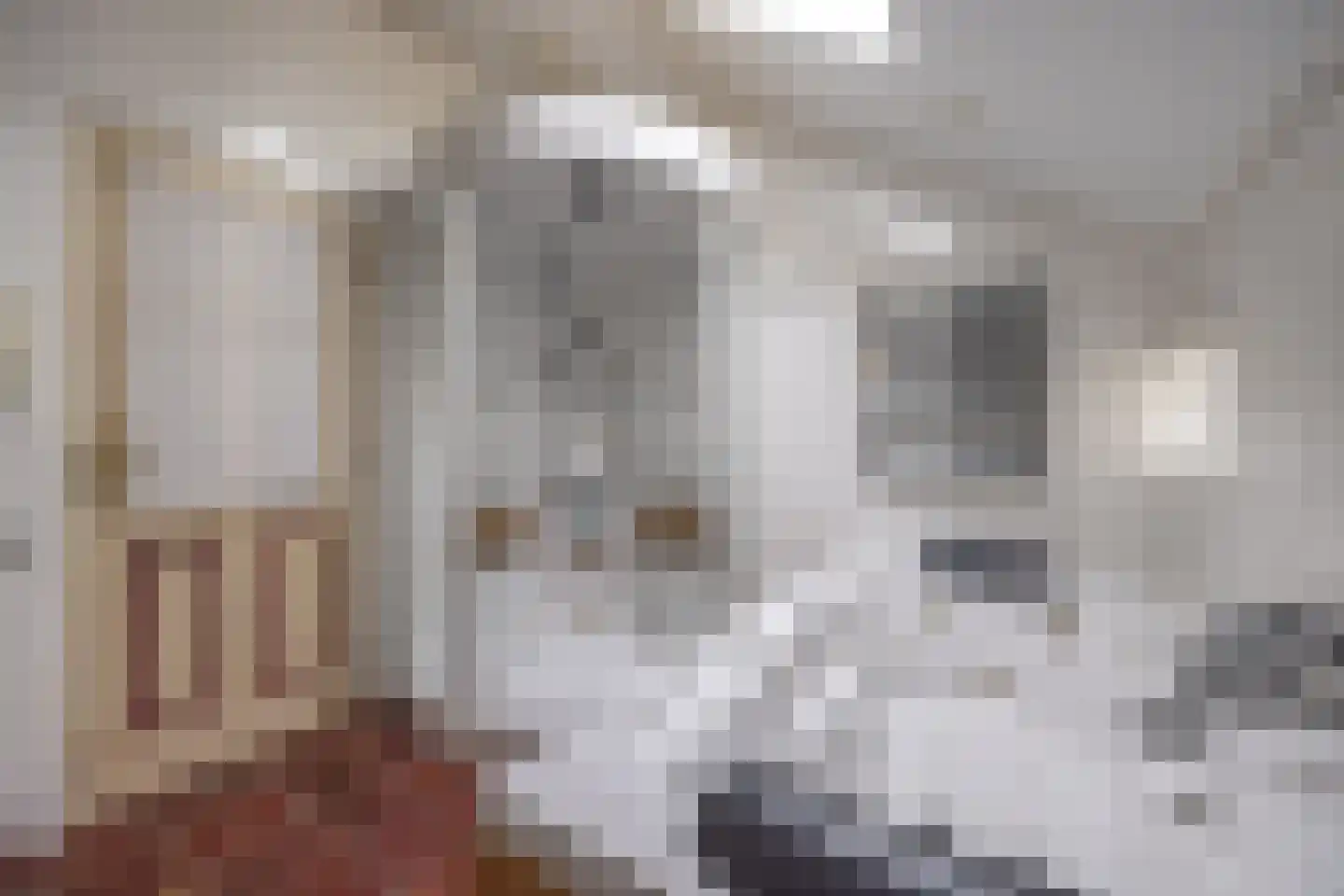 Buorren 68 Terherne thumbnail 51