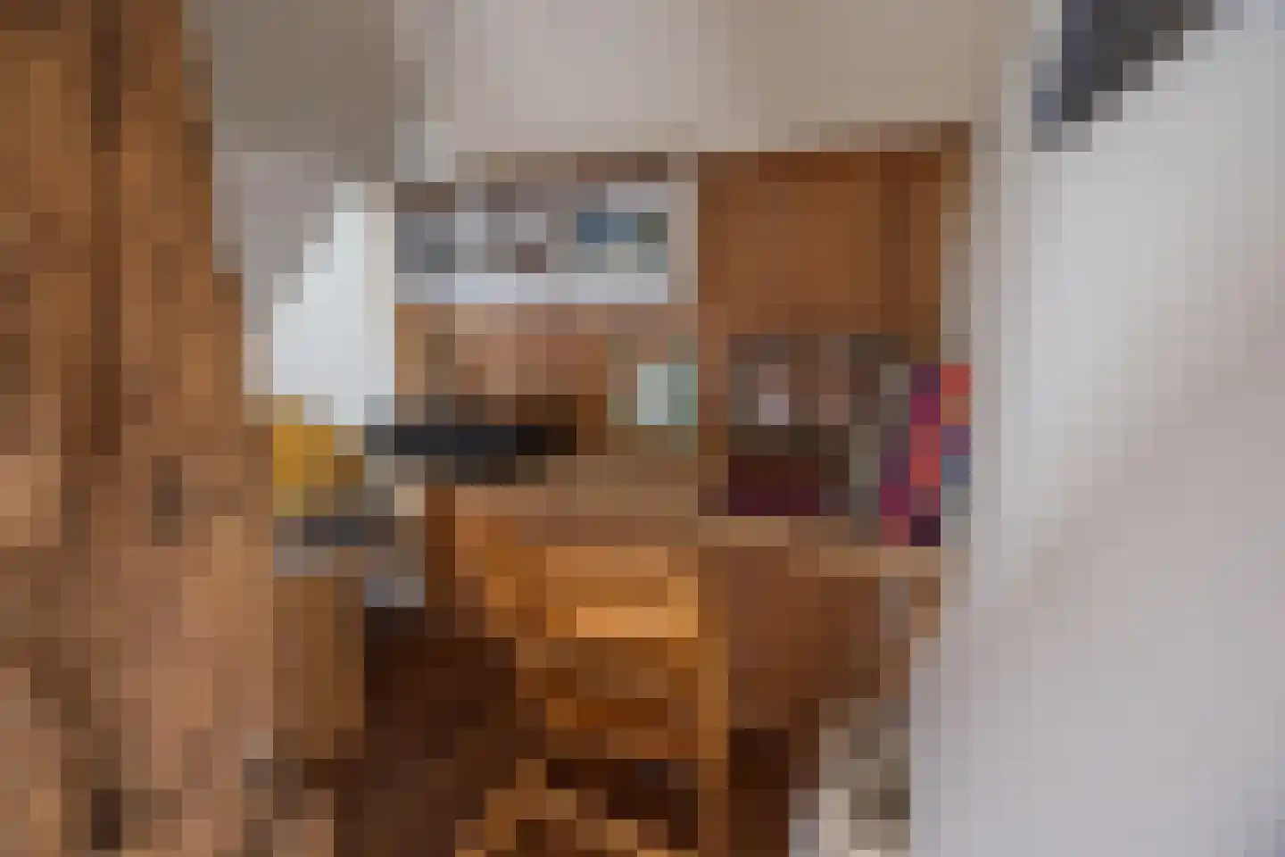 Buorren 68 Terherne thumbnail 55