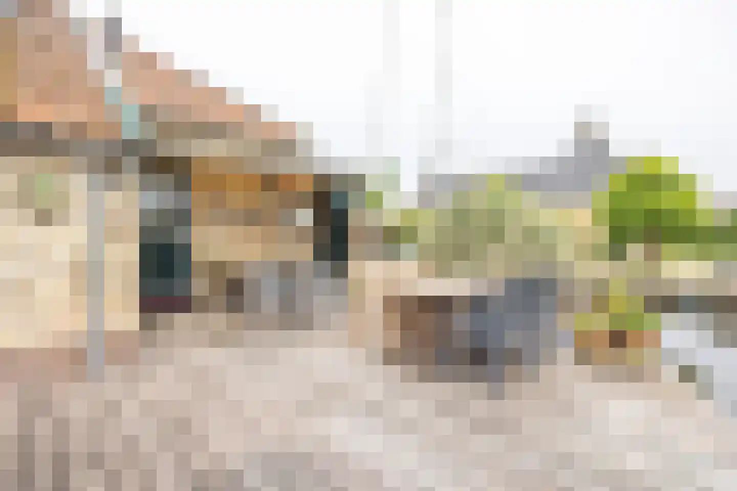 Buorren 68 Terherne thumbnail 60