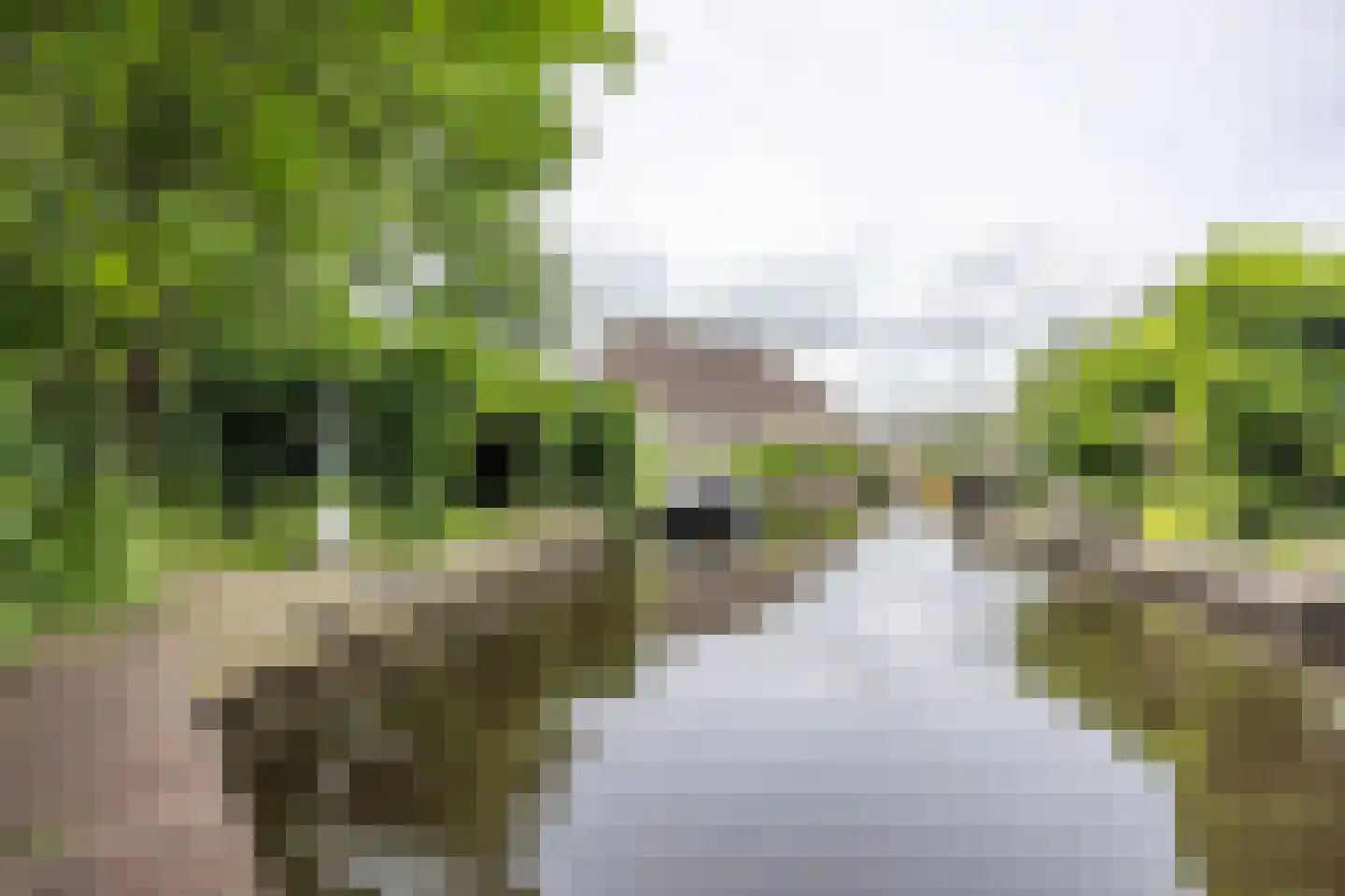 Buorren 68 Terherne thumbnail 61