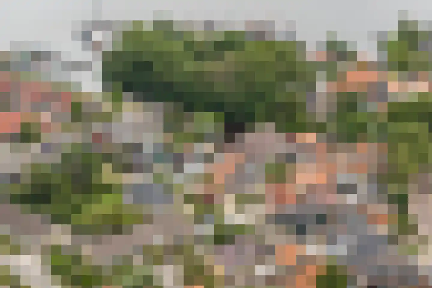 Buorren 68 Terherne thumbnail 62