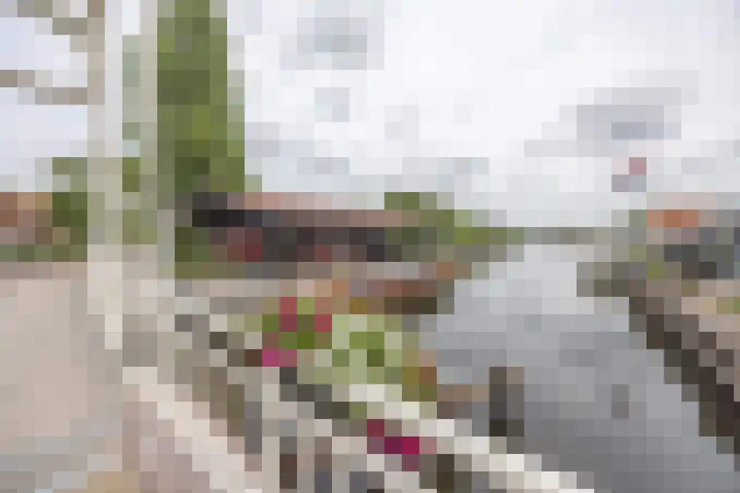 Buorren 68 Terherne thumbnail 63