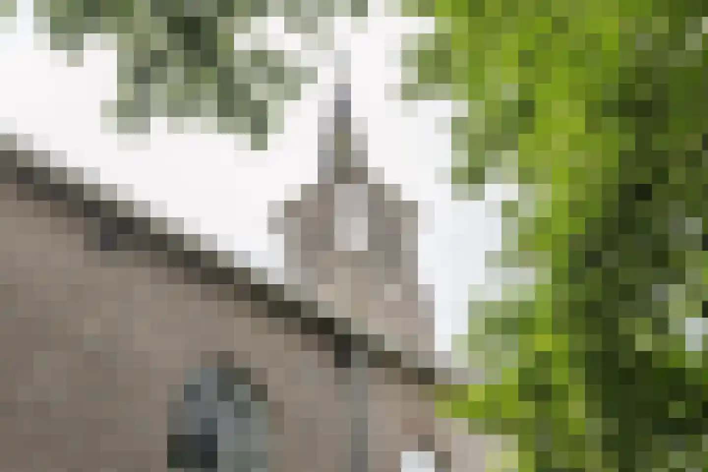 Buorren 68 Terherne thumbnail 66
