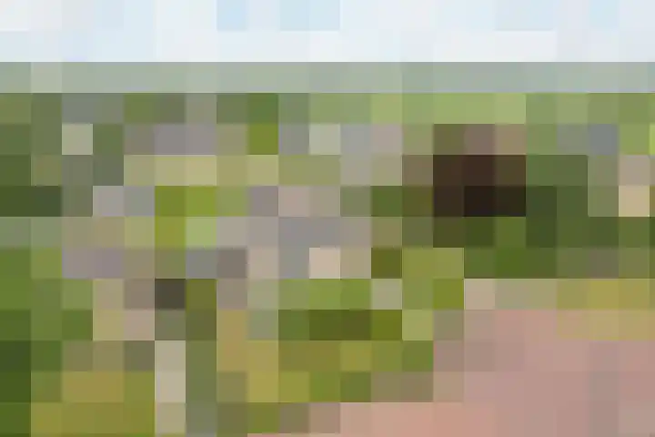 Buorren 69 Rottevalle thumbnail 10