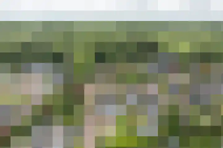 Buorren 69 Rottevalle thumbnail 11