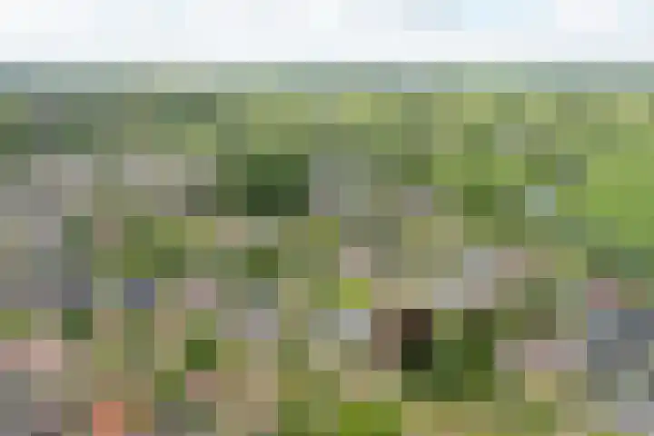 Buorren 69 Rottevalle thumbnail 12
