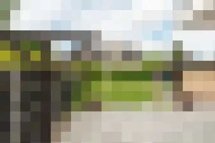 Buorren 69 Rottevalle thumbnail 13