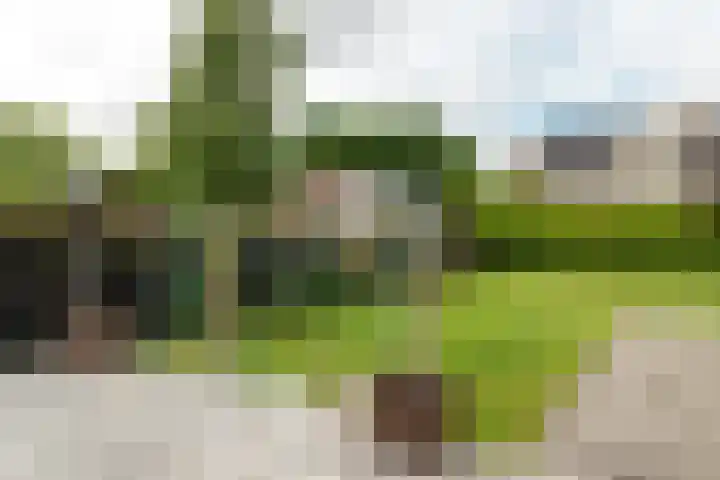 Buorren 69 Rottevalle thumbnail 14