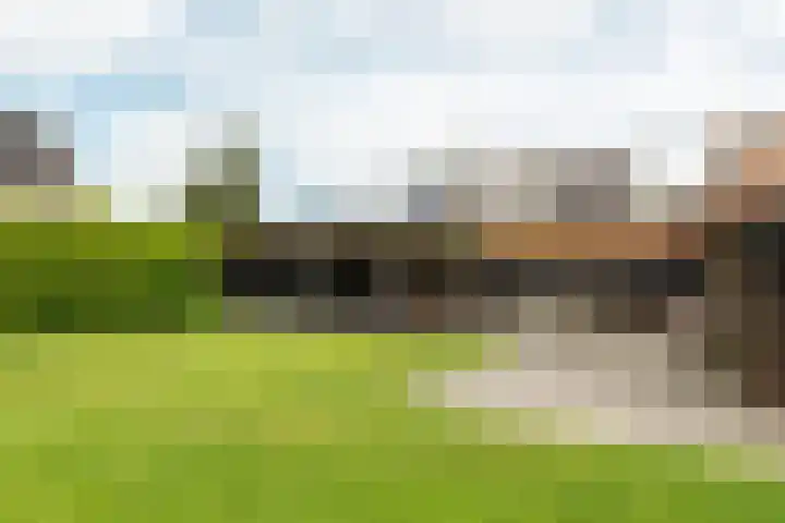 Buorren 69 Rottevalle thumbnail 15