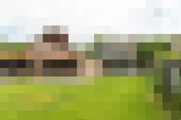Buorren 69 Rottevalle thumbnail 16