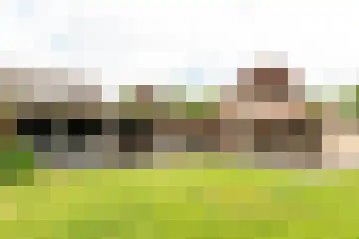 Buorren 69 Rottevalle thumbnail 17