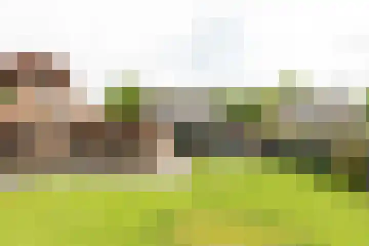 Buorren 69 Rottevalle thumbnail 18