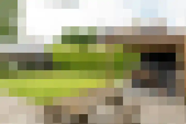 Buorren 69 Rottevalle thumbnail 19